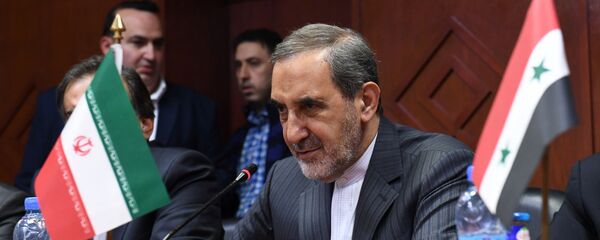 مستشار المرشد الإيراني للشؤون الدولية، علي أكبر ولايتي - سبوتنيك عربي