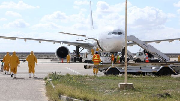 طائرة المصريين العائدين من مدينة ووهان الصينية معقل فيروس كورونا - سبوتنيك عربي