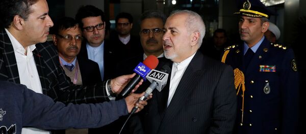 وزير الخارجية الإيراني محمد جواد ظريف - سبوتنيك عربي