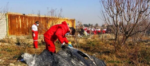  حطام الطائرة المنكوبة من طراز بوينغ 737 في طهران، إيران 8 يناير 2020 - سبوتنيك عربي