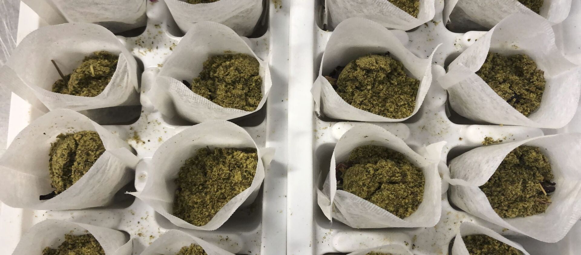 أكياس شاي محشوة بالقنب وغيرها من النباتات حيث تنتظر التعبئة النهائية أكياس شاي محشوة بالقنب وغيرها من النباتات حيث تنتظر التعبئة النهائية - سبوتنيك عربي, 1920, 12.02.2020