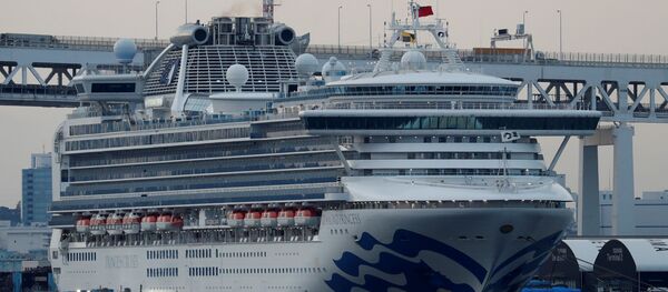 السفينة دايموند برنسيس - سبوتنيك عربي