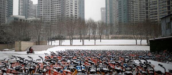 انتشار فيروس كورونا، بكين، الصين فبراير 2020 - سبوتنيك عربي