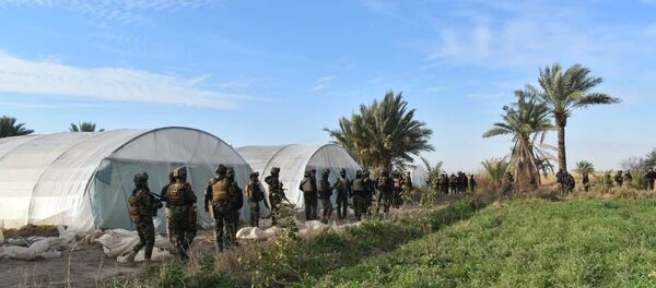 القوات العراقية، العراق فبراير 2020 - سبوتنيك عربي