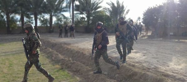 القوات العراقية، العراق فبراير 2020 القوات العراقية، العراق فبراير 2020 - سبوتنيك عربي