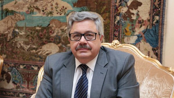 السفير الروسي لدى تركيا أليكسي يرخوف - سبوتنيك عربي