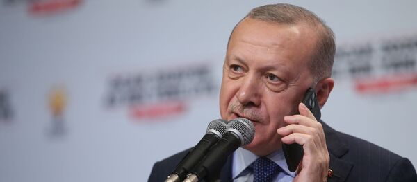 الرئيس التركي رجب طيب أردوغان - سبوتنيك عربي