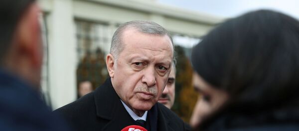 الرئيس التركي رجب طيب أردوغان - سبوتنيك عربي