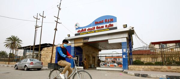 وزارة الصحة العراقية في محافظة النجف - سبوتنيك عربي