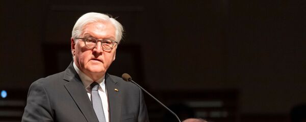 الرئيس الألماني فالت شتاينماير - سبوتنيك عربي