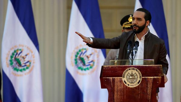 رئيس السلفادور، نجيب أبو كيلة - سبوتنيك عربي