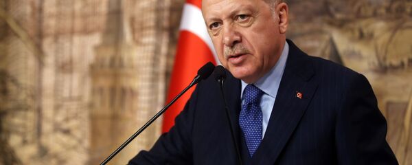 الرئيس التركي أردوغان يتحدث خلال اجتماع في اسطنبول - سبوتنيك عربي