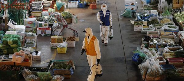 فيروس كورونا - سئول، كوريا الجنوبية فبراير 2020 - سبوتنيك عربي