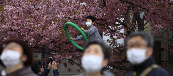 مهرجان تفتح أزهار الكرز في ماتسودا، محافظة كاناغاوا، جنوب اليابان 29 فبراير 2020 مهرجان تفتح أزهار الكرز في ماتسودا، محافظة كاناغاوا، جنوب اليابان 29 فبراير 2020 - سبوتنيك عربي