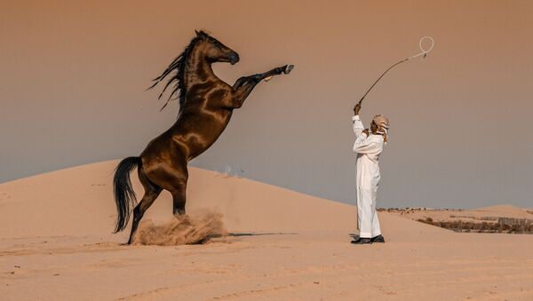 صورة بعنوان حركة الفرس في السعودية، للمصور عباس الخميس من السعودية، الحائزة على الجائزة الوطنية (السعودية) في المسابقة العالمية سوني للتصوير لعام 2020 - سبوتنيك عربي