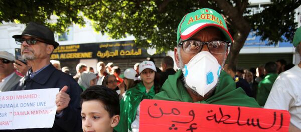 متظاهر يرتدي قناع الوجه ويحمل لافتة كتب عليها السلطة ومؤيدوها أكثر فتكاً من فيروس كورونا خلال مظاهرة مناهضة للحكومة في الجزائر العاصمة متظاهر يرتدي قناع الوجه ويحمل لافتة كتب عليها السلطة ومؤيدوها أكثر فتكاً من فيروس كورونا خلال مظاهرة مناهضة للحكومة في الجزائر العاصمة - سبوتنيك عربي