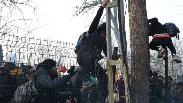 مهاجرون في معبر بازاركول الحدودي في تركيا، الحدود التركية اليونانية، 29 فبراير 2020 - سبوتنيك عربي