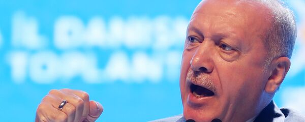 الرئيس التركي رجب طيب أردوغان - سبوتنيك عربي