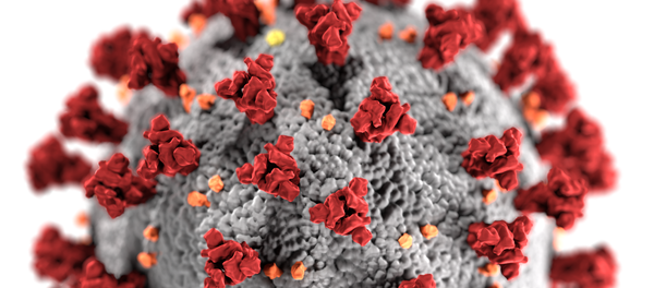 فيروس كورونا الجديد SARS-CoV-2 - سبوتنيك عربي