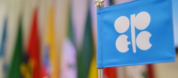 علم منظمة أوبك في فيينا - سبوتنيك عربي