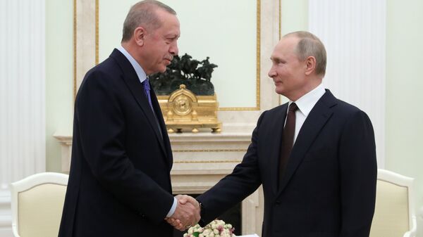 الرئيس الروسي فلاديمير بوتين ونظيره التركي رجب طيب أردوغان - سبوتنيك عربي