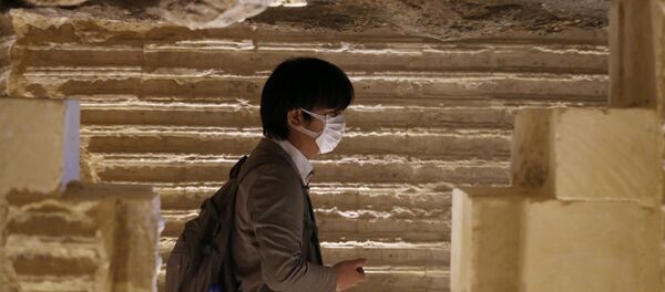 سائح يرتدي كمامة في أحد المزارات السياحية في مصر للوقاية من فيروس كورونا - سبوتنيك عربي