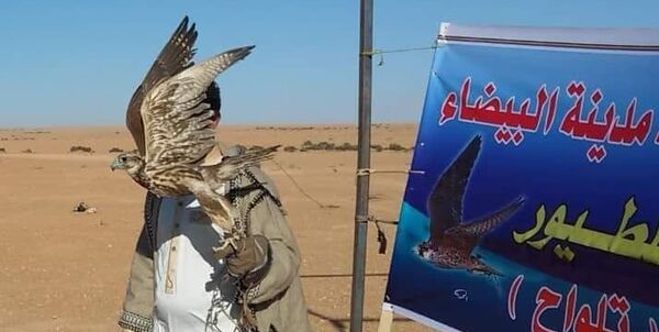 صقارون ليبيون يروون لـ سبوتنيك أسرار صيد الطيور الجارحة وتربيتها - سبوتنيك عربي