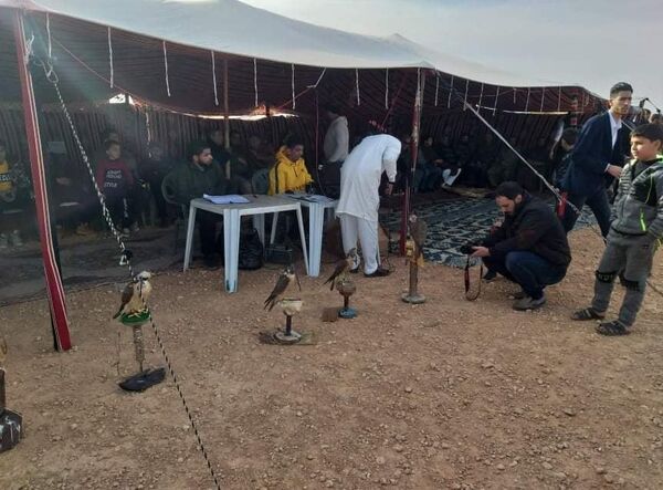 صقارون ليبيون يروون لـ سبوتنيك أسرار صيد الطيور الجارحة وتربيتها - سبوتنيك عربي