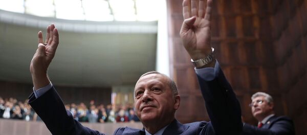 أردوغان - سبوتنيك عربي