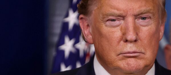 ترامب - سبوتنيك عربي