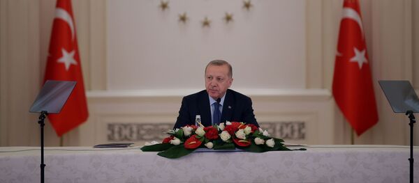 أردوغان - سبوتنيك عربي