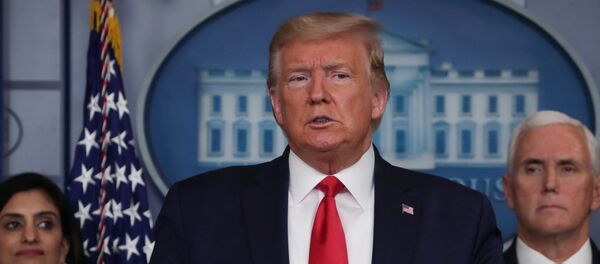 الرئيس الأمريكي دونالد ترامب - سبوتنيك عربي