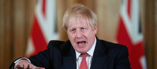 رئيس الوزراء البريطاني، بوريس جونسون - سبوتنيك عربي