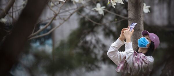 امرأة ترتدي قناع واقي تلتقط صورة لأزهار الكرز في حديقة بكين للحيوانات، بعد أن أعادت فتح المناطق الشكوفة أمام الجمهور، بعد حجر صحي في بكين، على خلفية تفشي الفيروس التاجي كورونا في الصين، 24 مارس 2020 - سبوتنيك عربي