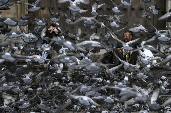 طيور الحمام، الذي يغذيه السياح عادة، يبحث عن الطعام لدى الأشخاص الجالسين في ساحة بوليفار الخالية تقريبًا، في بوغوتا 25 مارس 2020 - سبوتنيك عربي