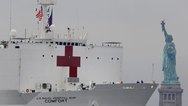 السفينة يو أس كومفورت تمر إلى جوار تمثال الحرية أثناء دخولها ميناء نيويورك أثناء تفشي فيروس كورونا - سبوتنيك عربي
