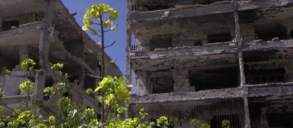 حي الحمدانية، حلب، سوريا 2 أبريل 2020 - سبوتنيك عربي