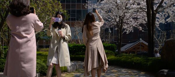 موظفات المكتب يرتدين أقنعة واقية وسط مخاوف بشأن انتشار الفيروس التاجي كورونا، يلتقطن صور للأشجار والأزهار خلال استراحة الغداء في وسط سئول، كوريا الجنوبية 31 مارس 2020 - سبوتنيك عربي