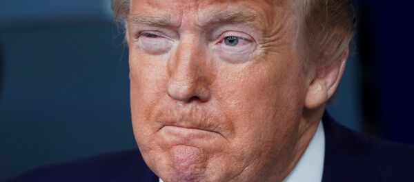 الرئيس الأمريكي دونالد ترامب خلال إفادته اليومية بشأن تفشي فيروس كورونا في البلاد الرئيس الأمريكي دونالد ترامب خلال إفادته اليومية بشأن تفشي فيروس كورونا في البلاد - سبوتنيك عربي