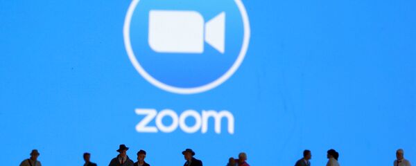 تطبيق المحادثات زووم - سبوتنيك عربي