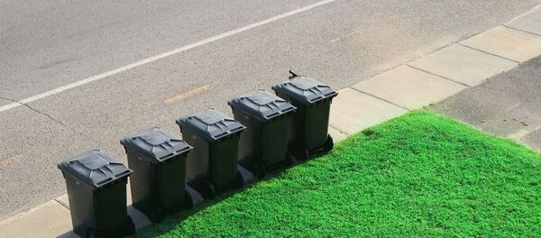 حاوية القمامة  - سبوتنيك عربي