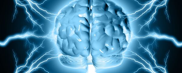 دماغ الإنسان  - سبوتنيك عربي