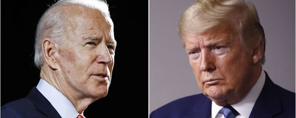 جو بايدن ودونالد ترامب - سبوتنيك عربي