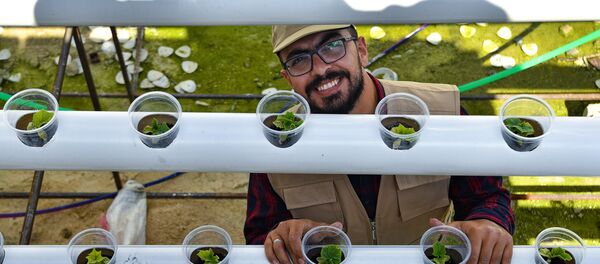 شاب سوري ينتج 35 طن خضراوات على سطح أحد الأبنية - سبوتنيك عربي