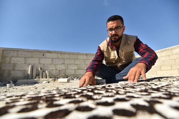 شاب سوري ينتج 35 طن خضراوات على سطح أحد الأبنية... فيديو وصور - سبوتنيك عربي