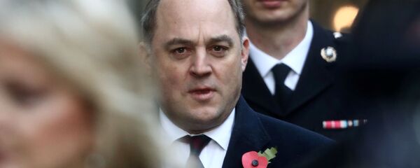 وزير الدفاع البريطاني بن والاس وزير الدفاع البريطاني بن والاس - سبوتنيك عربي