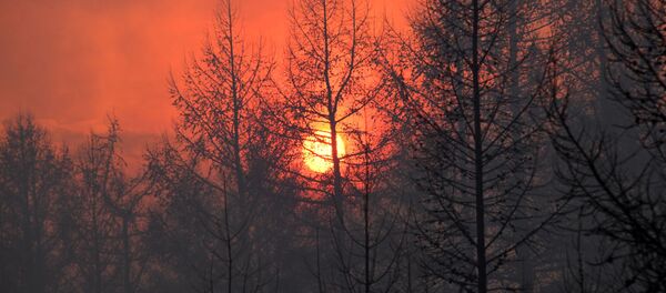 حرائق غابات في إقليم ما وراء البايكال، روسيا 23 أبريل 2020 - سبوتنيك عربي
