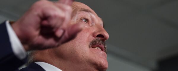 رئيس بيلاروسيا ألكسندر لوكاشينكو - سبوتنيك عربي