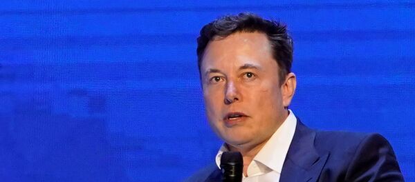 إيلون ماسك - سبوتنيك عربي