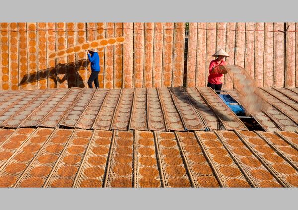 الصورة بعنوان في انتظار الشمس، للمصور االفيتنامي نهان دو ذانه، الفائز في فئة جائزة فيليب هاربن للطعام خلال تحضيره من مسابقة Pink Lady® لأفضل مصور الطعام لعام 2020 - سبوتنيك عربي